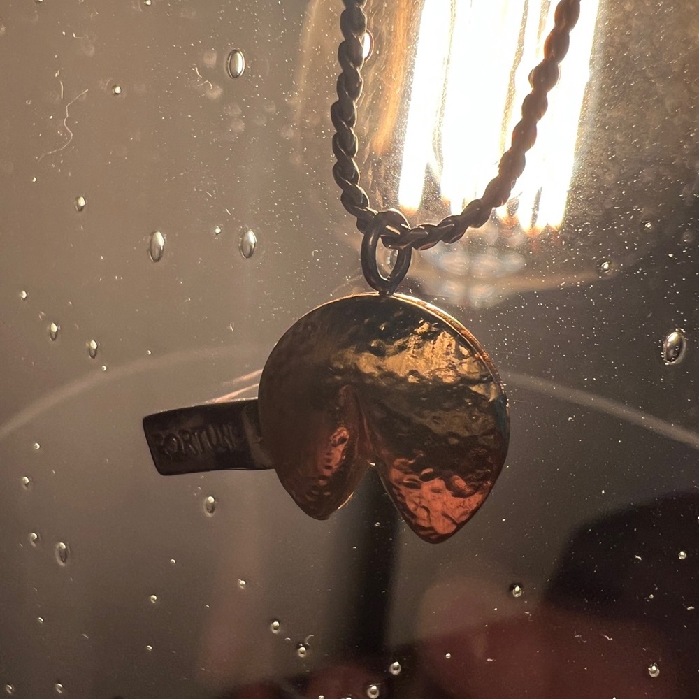 Gold Brighton Fortune Cookie Pendant Necklace - Picture 4 of 5